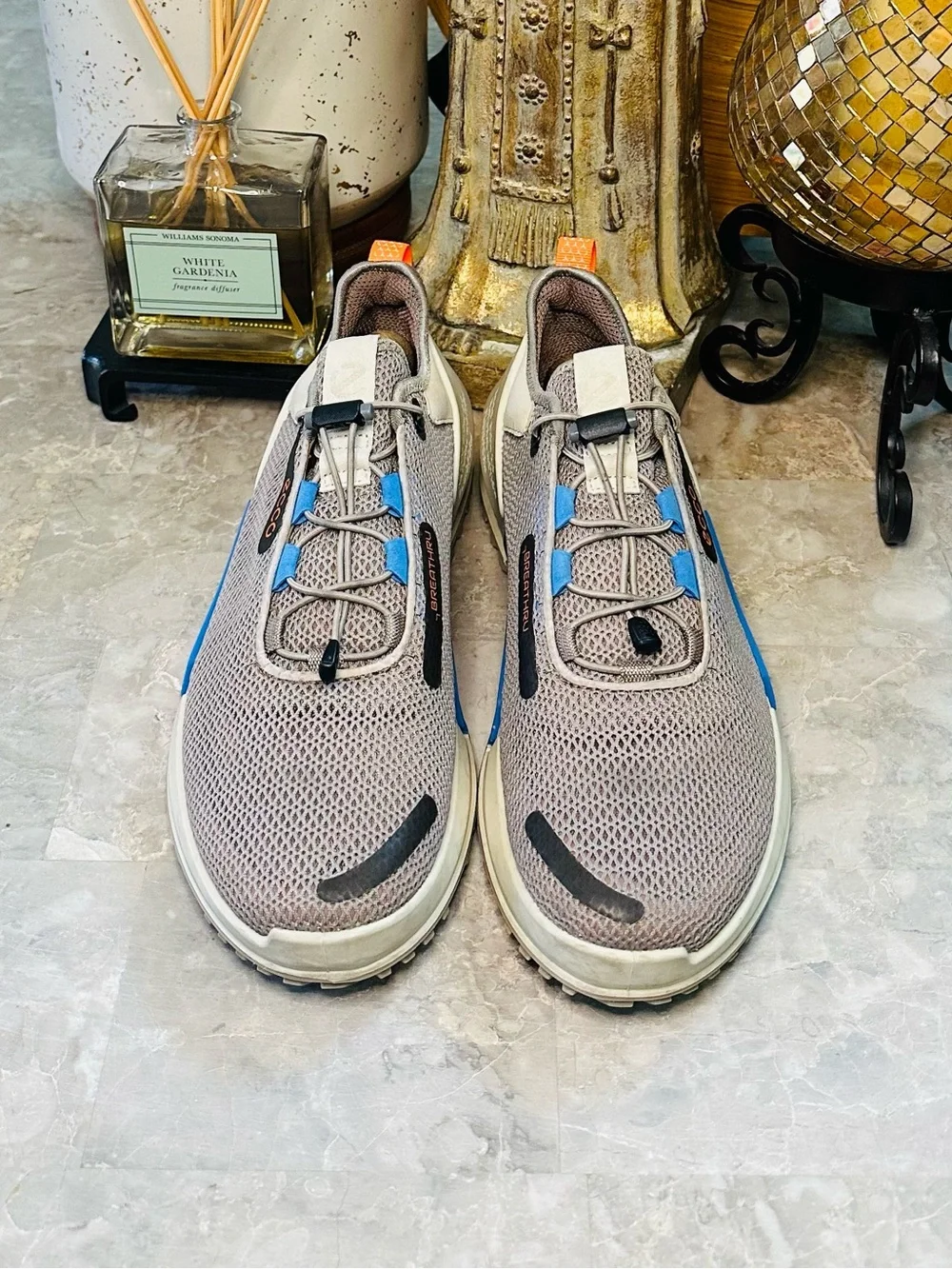 Ecco men’s biom